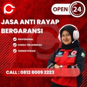 Jasa Pembasmi Rayap di Rumah