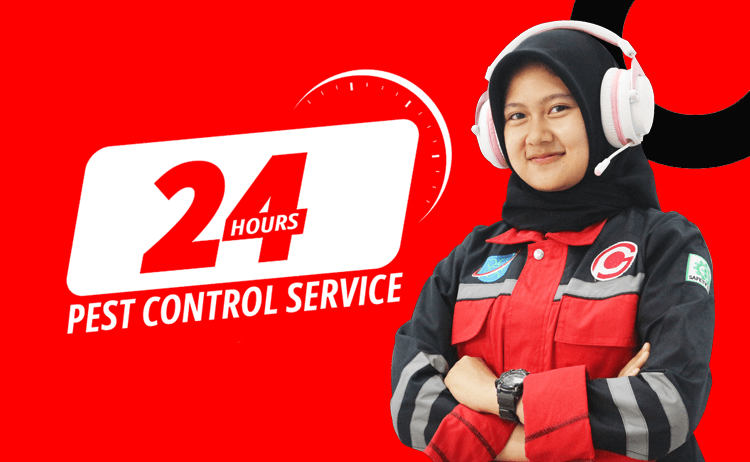 Jasa Fogging Nyamuk Cikarang