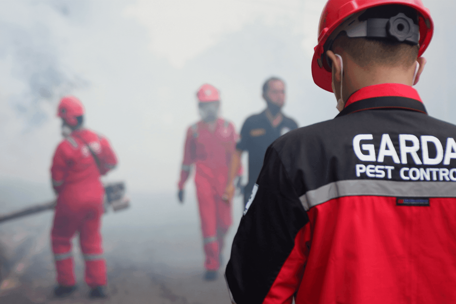 Jasa Pest Control Terdekat Profesional