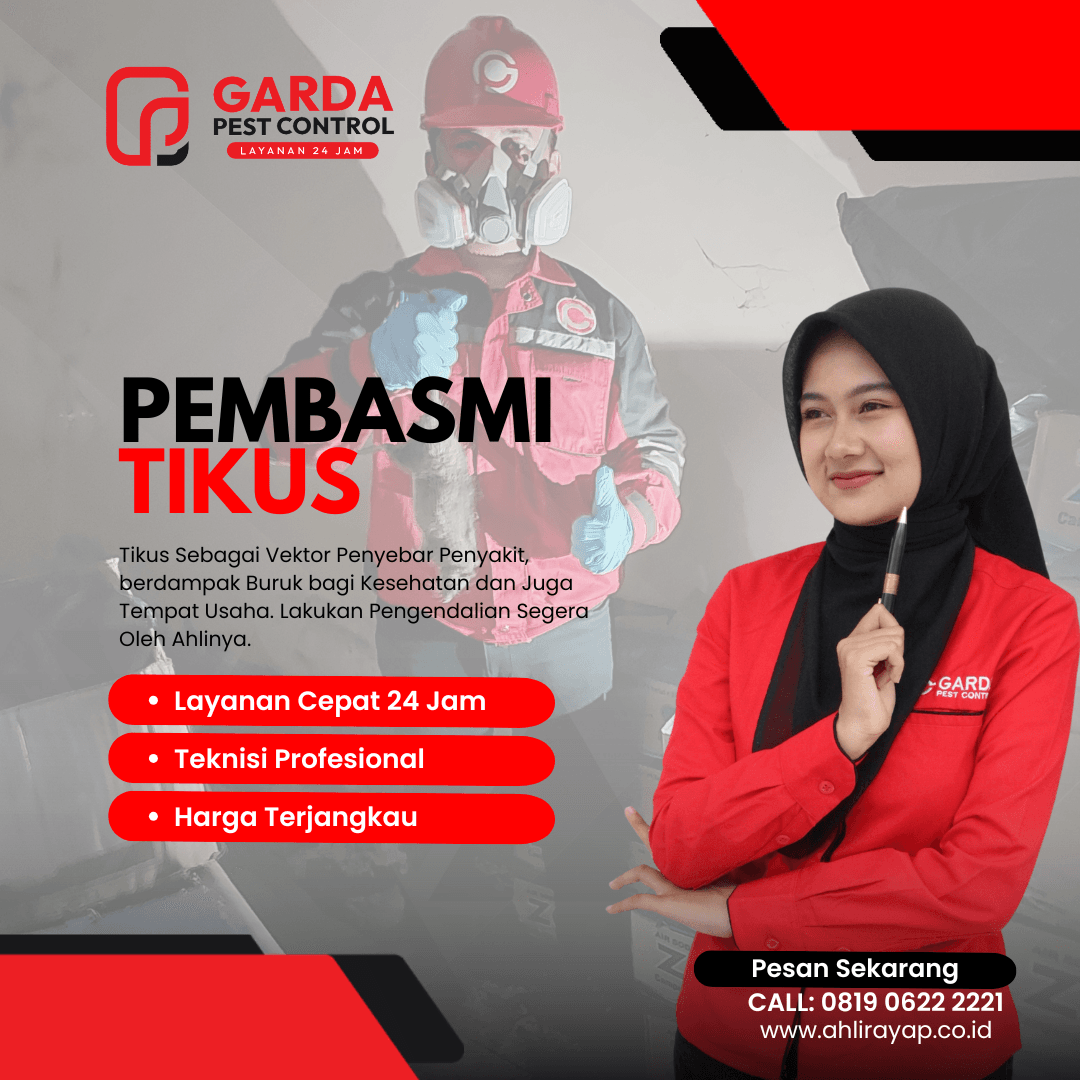 Jasa Pembasmi Tikus Profesional di Pekalongan Raya