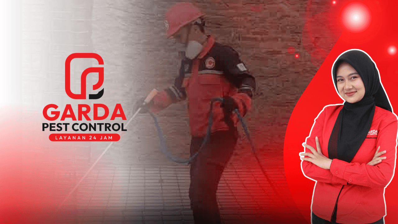 Jasa Anti Rayap Bogor Basmi Hingga Tuntas