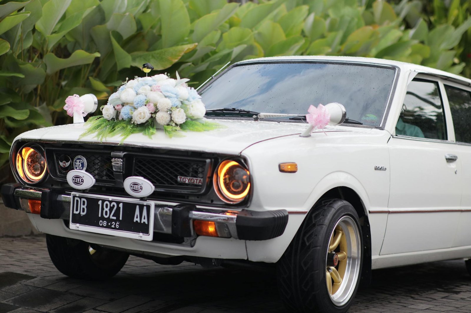 jasa fogging kecoa mobil