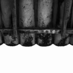 cara membasmi black mold