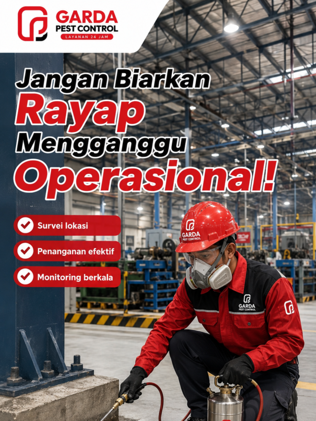 Jasa Basmi Rayap di Jakarta Utara Terpercaya dan Bepengalaman