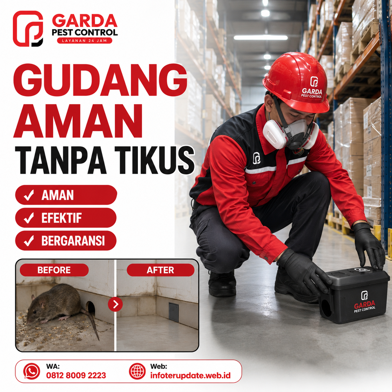 Jasa Pembasmi Tikus Salatiga: Solusi Cepat Tikus Hilang
