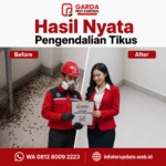 Harga Jasa Pembasmi Tikus Salatiga Terbaru & Estimasi Biaya